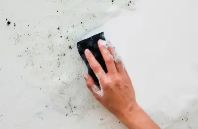 Effective Natural Alternatives Against Wall Mold