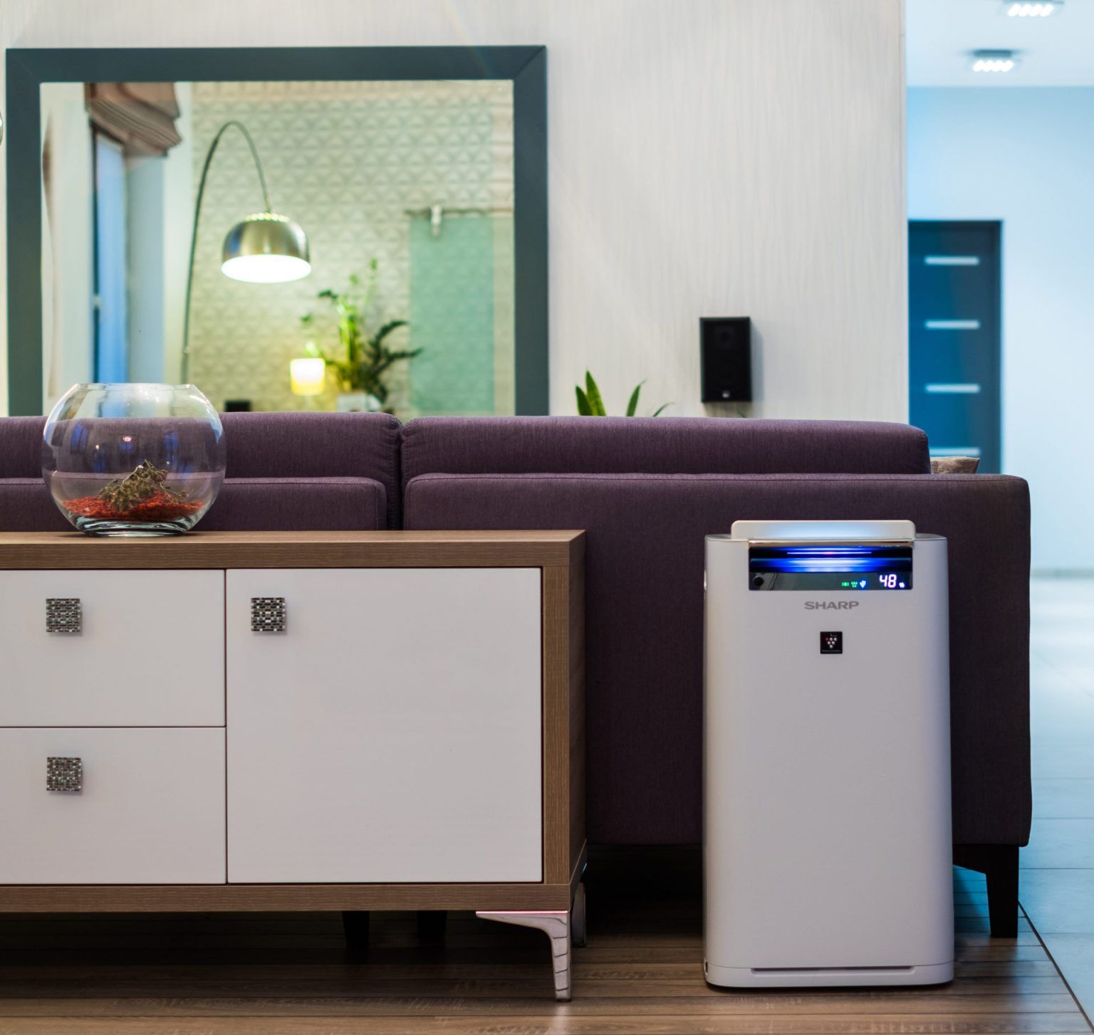Purifying Indoor Air with a Sharp Plasmacluster Ion: Cost and Where to Buy