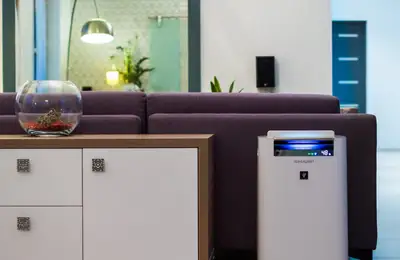 Purifying Indoor Air with a Sharp Plasmacluster Ion: Cost and Where to Buy