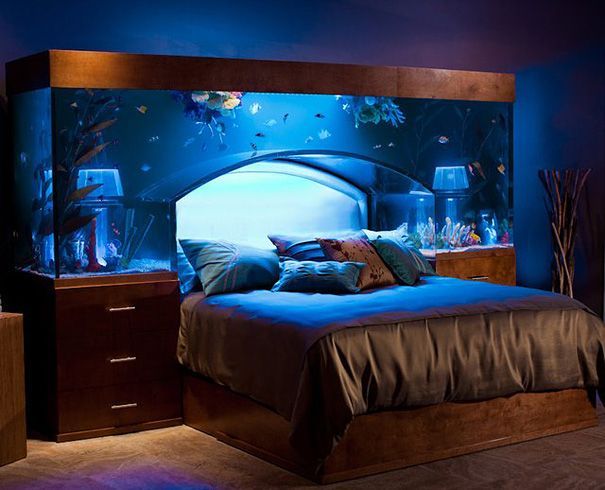 Ingenious Ideas for a Special Home