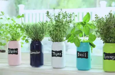 Creative Recycling of Aluminum Cans