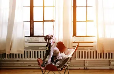 Creating a Safe and Comfortable Home for Your Future Pet
