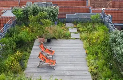 Green Roofs: The Latest Trends in Urban Design