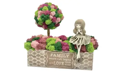 Why Choose Moss Bonsai Trees?