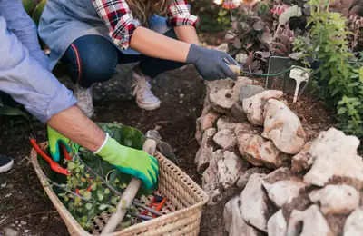 Safe and Effective Methods for Maintaining Your Garden