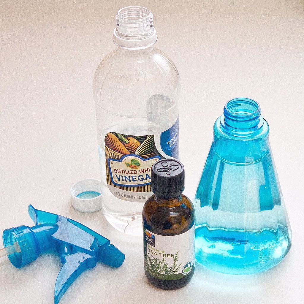 How to Remove Mold Naturally