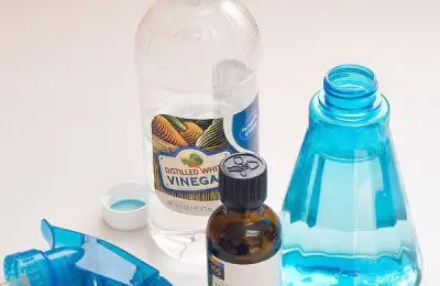 How to Remove Mold Naturally