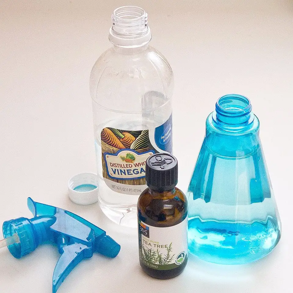 How to Remove Mold Naturally