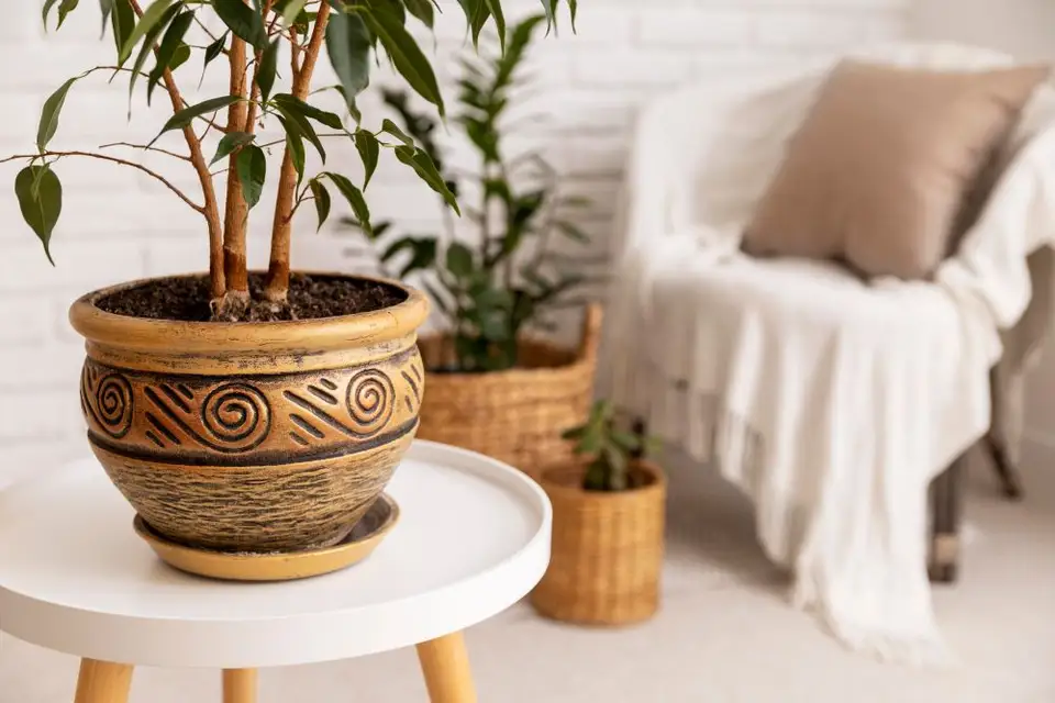 Sfaturi pentru decorarea casei cu elemente naturale