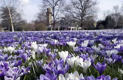The Most Beautiful Gardens in London
