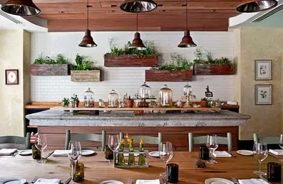 Decorative Plants for the Kitchen