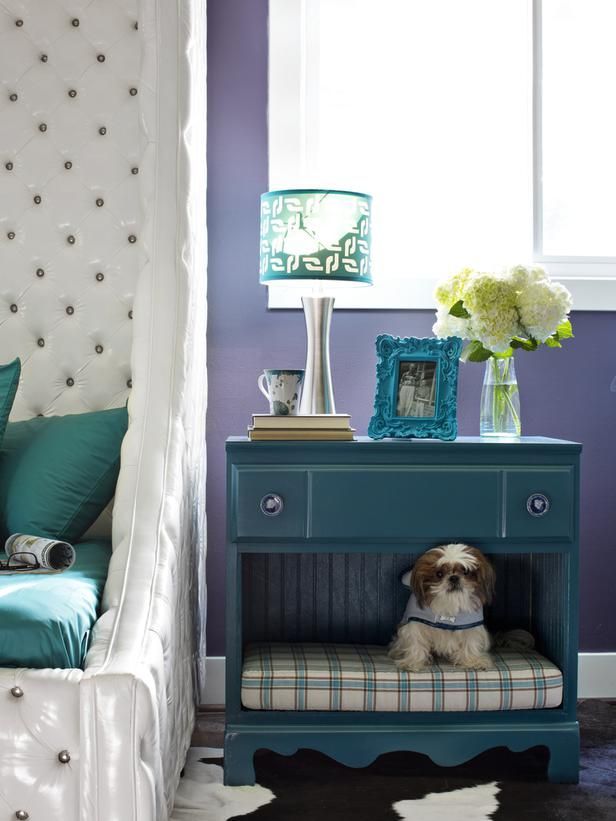 Designing Your Home with Pets in Mind