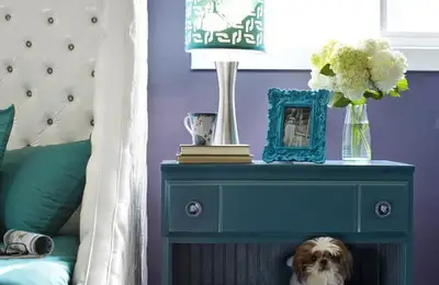 Designing Your Home with Pets in Mind