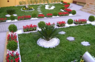 Garden Design with Prunus