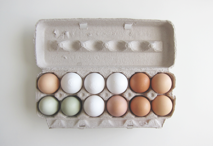 DIY Seed Starting Pots from Eggshells