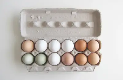 DIY Seed Starting Pots from Eggshells