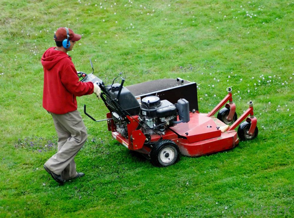 The Tools and Machinery You Need for Your Garden