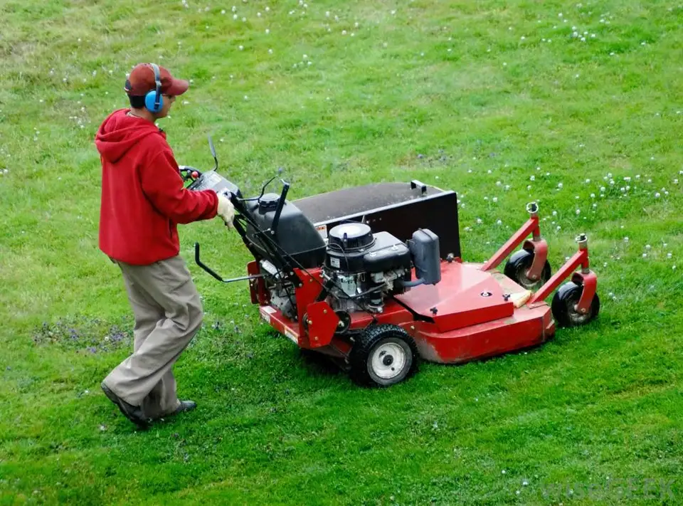 The Tools and Machinery You Need for Your Garden