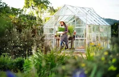 Innovative Ideas for Building a Greenhouse in Your Garden