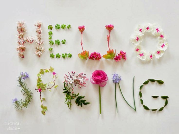 Bring Spring into Your Home