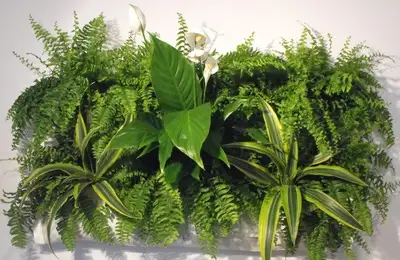 Living Walls: Decorative Accessories for Harmonizing Your Home with Nature