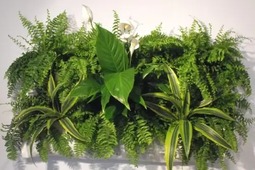 Tablourile vegetale accesorii decorative pentru armonizarea locuintei cu natura