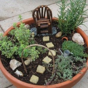 Amenajeaza o mini gradina cu plante aromatice in ghivece