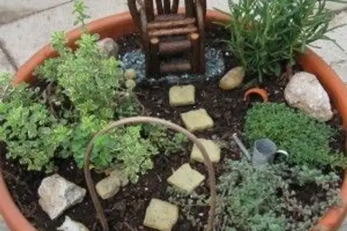 Amenajeaza o mini gradina cu plante aromatice in ghivece