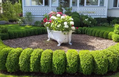 How to Care for a Hedge