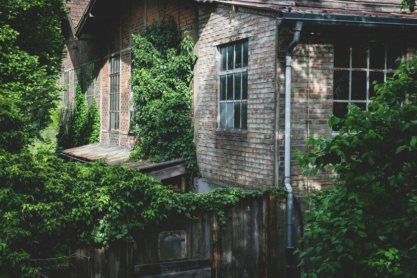 Revamping an Old Home's Exterior: Tips and Tricks for a Perfect Finish