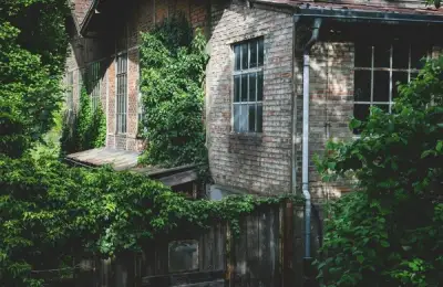 Revamping an Old Home's Exterior: Tips and Tricks for a Perfect Finish