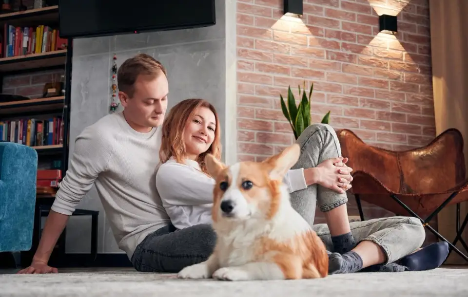 Sfaturi pentru menținerea unui apartament curat atunci când ai un animal de companie