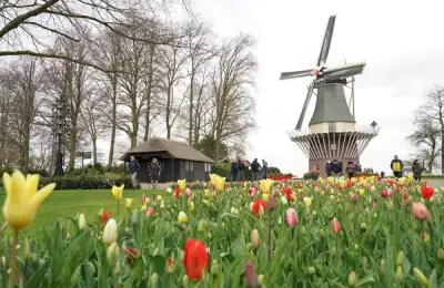 Keukenhof, Netherlands: The Story of the World's Largest Flower Garden