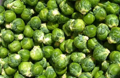 Tutorial: How to Plant Brussels Sprouts (VIDEO)