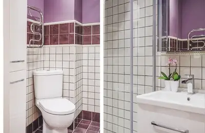 A 3 Square Meter Bathroom Designed with Purple