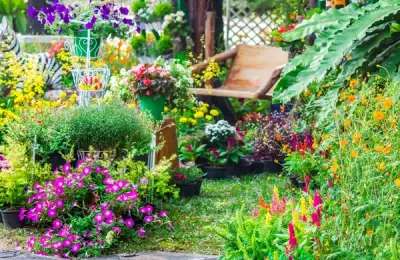 Visul oricărui grădinar: cum să amenajezi o grădină care aproape se întreține singură
