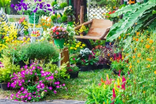 Visul oricărui grădinar: cum să amenajezi o grădină care aproape se întreține singură
