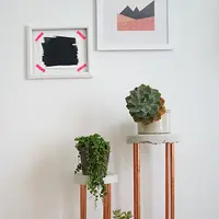 Suporturi pentru plante care sa-ti inveseleasca spatiul