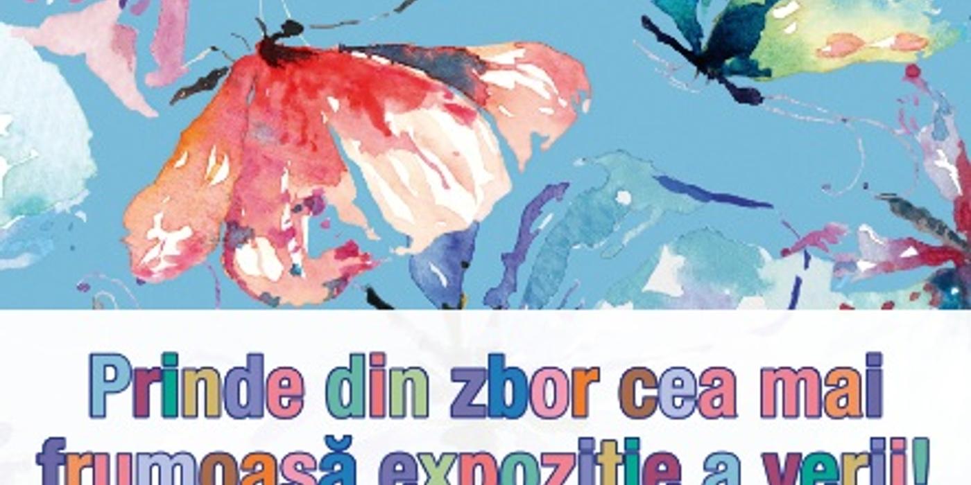 Prinde din zbor cea mai frumoasă expoziție a verii!