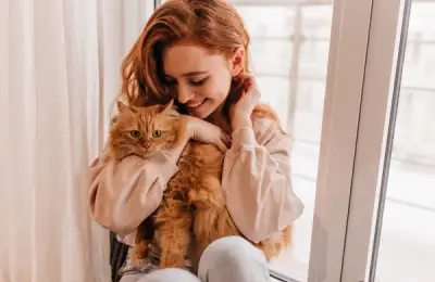 Showing Affection Through Simple Gestures: How to Express Your Love for Your Cat Through Petting, Play, and Non-Verbal Communication