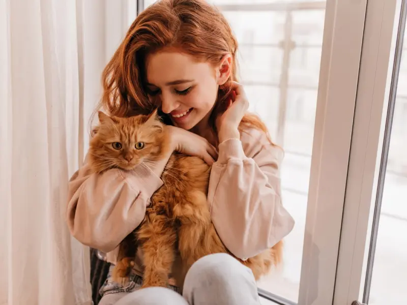 Arătarea afecțiunii prin gesturi simple Cum poți să îți arăți iubirea față de pisica ta prin mângâieri, joacă, și comunicare non-verbală.