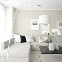 5 secrete pentru casa ta