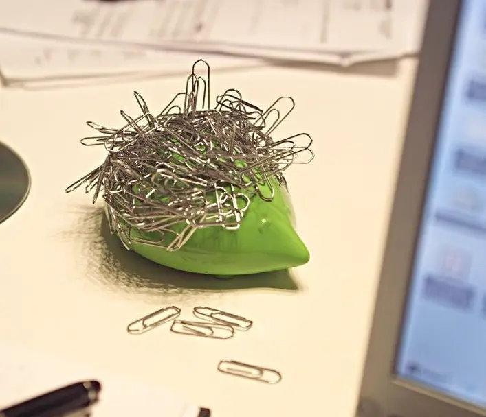 Accesorii inedite si originale in forme de diferite animale