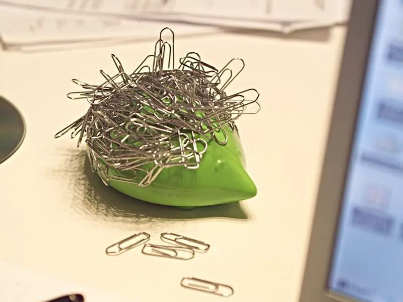 Accesorii inedite si originale in forme de diferite animale