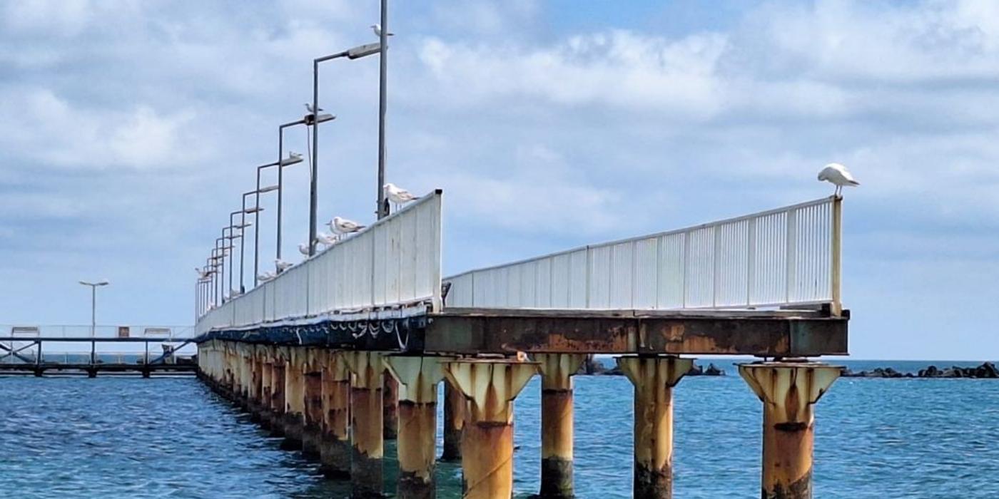 Pasarela din Mamaia, „îngropată” în studii și birocrație: Șase ani de degradare și nicio soluție concretă