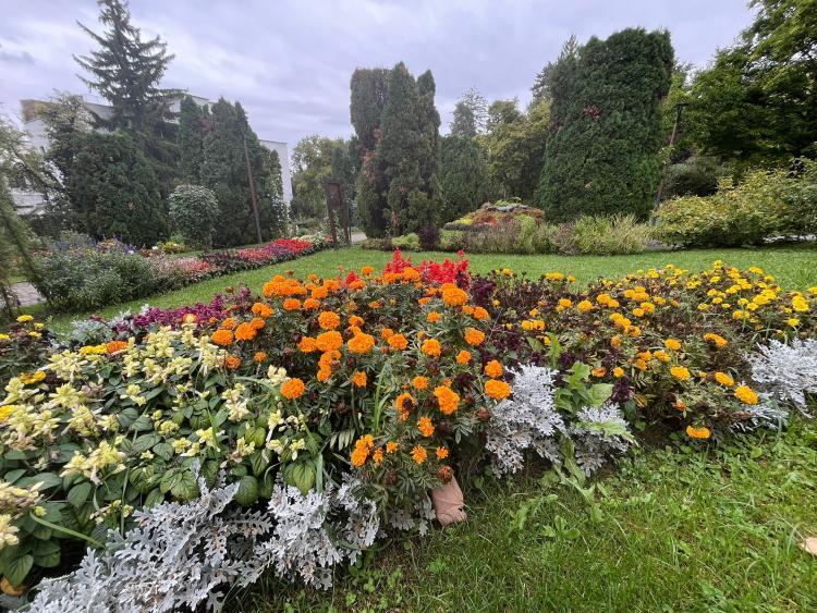 Seniorii, acces gratuit la Grădina Botanică „Alexandru Borza” din Cluj-Napoca de Ziua Seniorilor