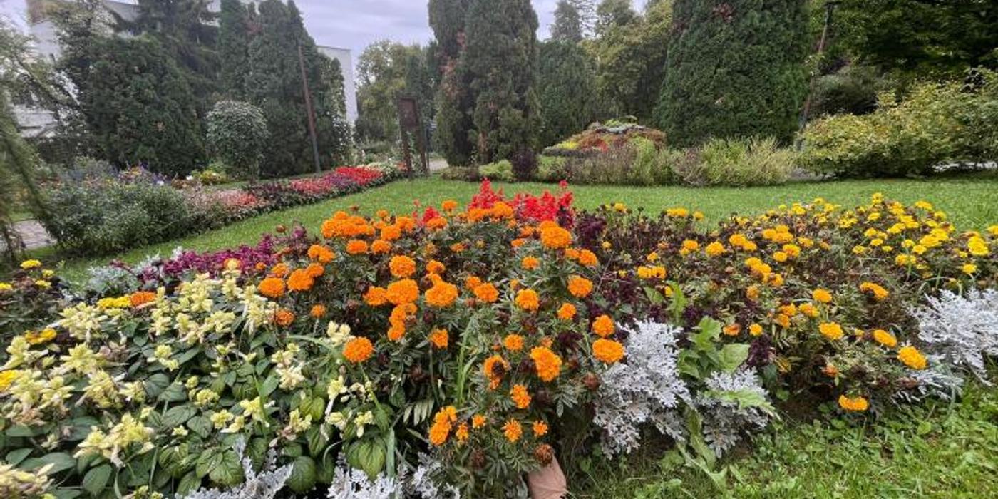 Seniorii, acces gratuit la Grădina Botanică „Alexandru Borza” din Cluj-Napoca de Ziua Seniorilor