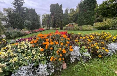 Seniorii, acces gratuit la Grădina Botanică „Alexandru Borza” din Cluj-Napoca de Ziua Seniorilor