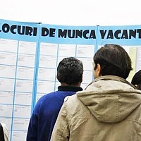 Piața muncii în 2026: Domeniile cu cele mai multe angajări și surpriza uriașă din sectorul asigurărilor