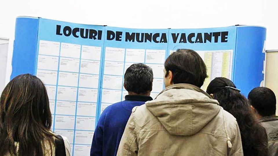 Piața muncii în 2026: Domeniile cu cele mai multe angajări și surpriza uriașă din sectorul asigurărilor